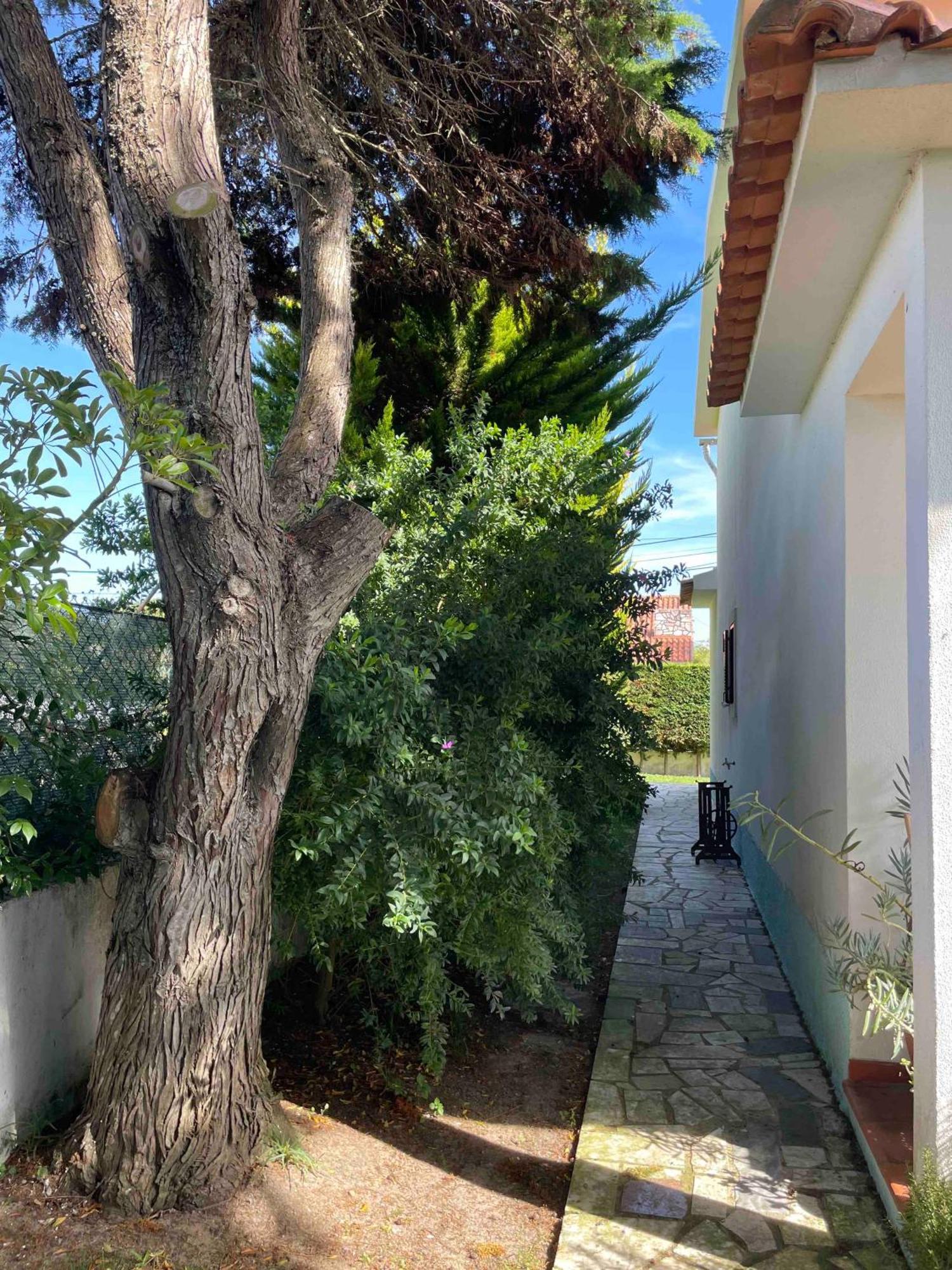 Santa Cruz Beach House Areias ภายนอก รูปภาพ