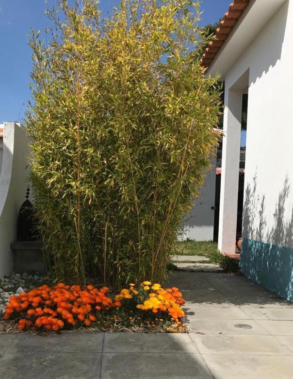 Santa Cruz Beach House Areias ภายนอก รูปภาพ