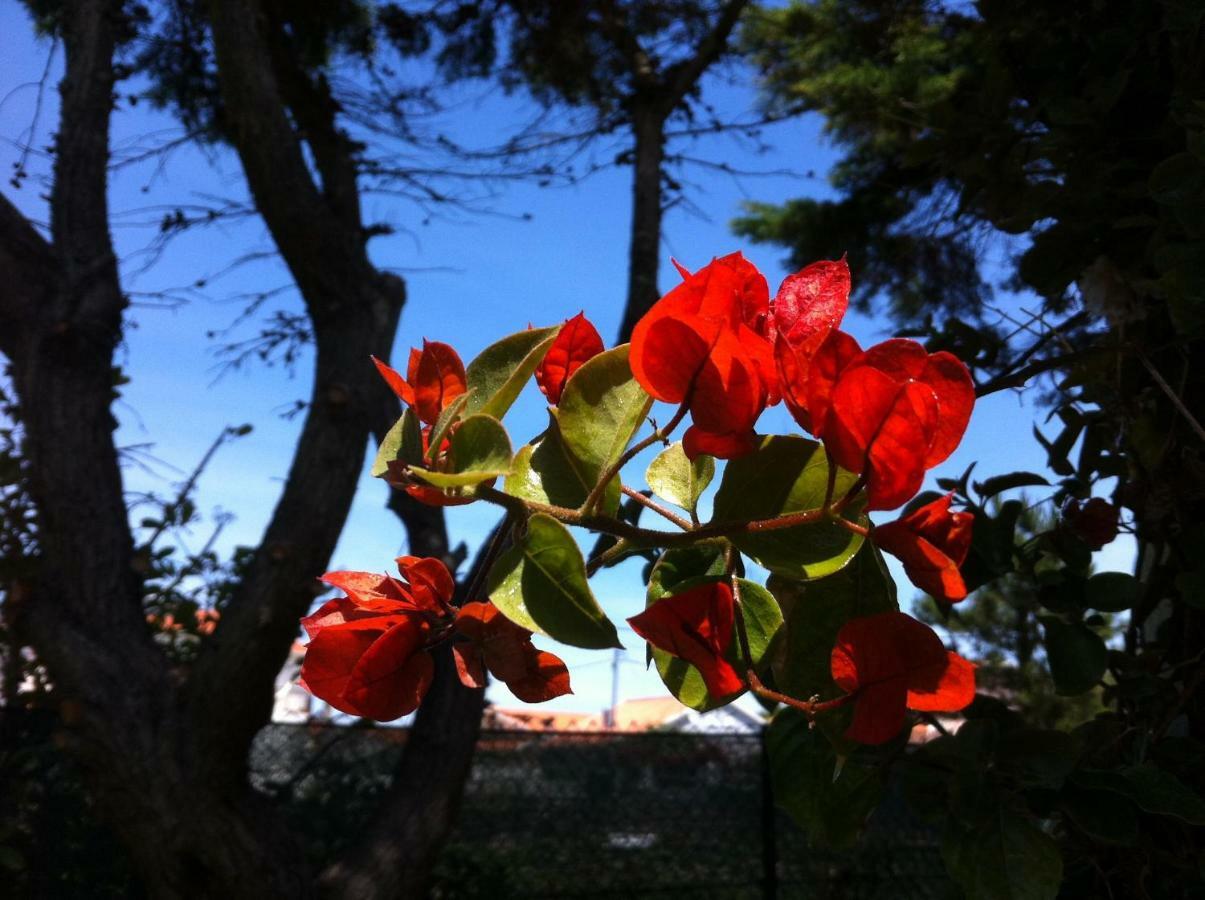 Santa Cruz Beach House Areias ภายนอก รูปภาพ